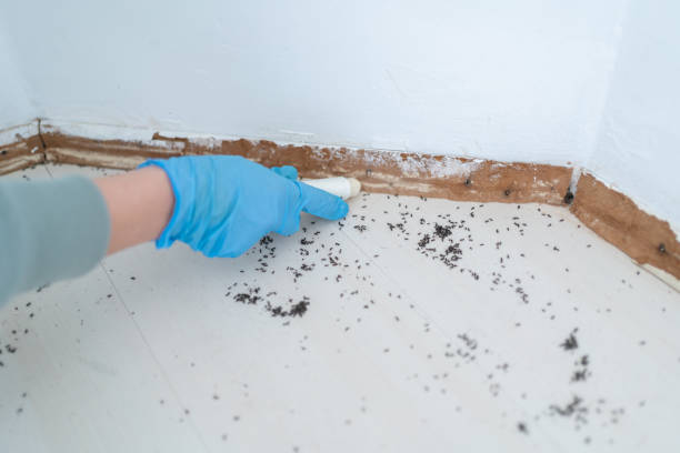 Aberdeen, MD Pest Control Company